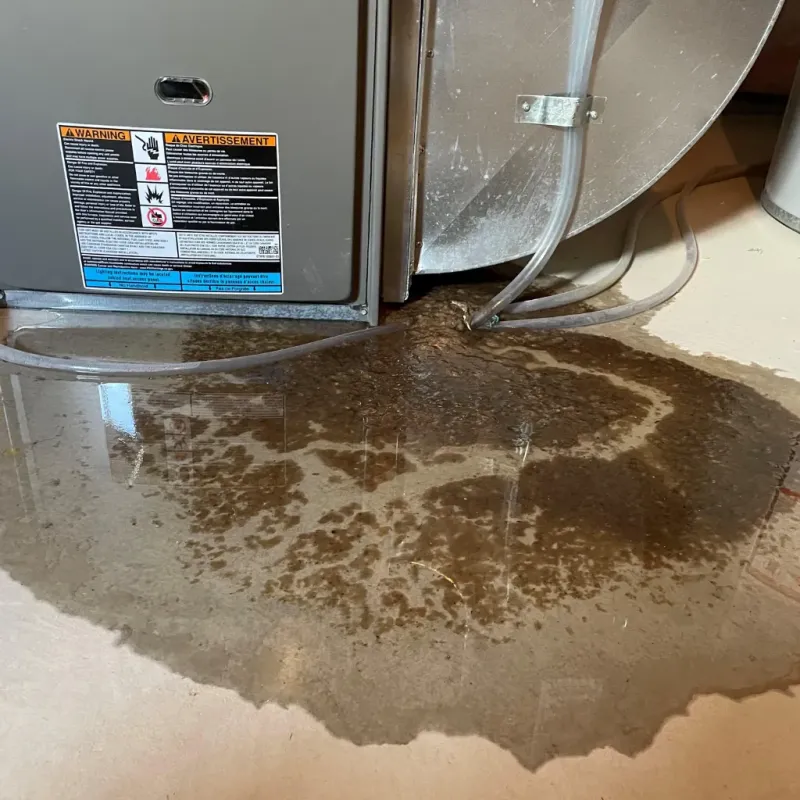 Appliance Leak Cleanup in Rolling Hills, CA